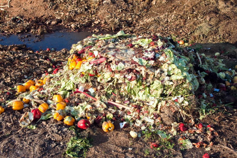 UN Report Reveals Shocking Levels of Global Food Waste